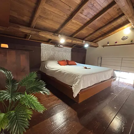 La Casa Di Gina * Ariccia